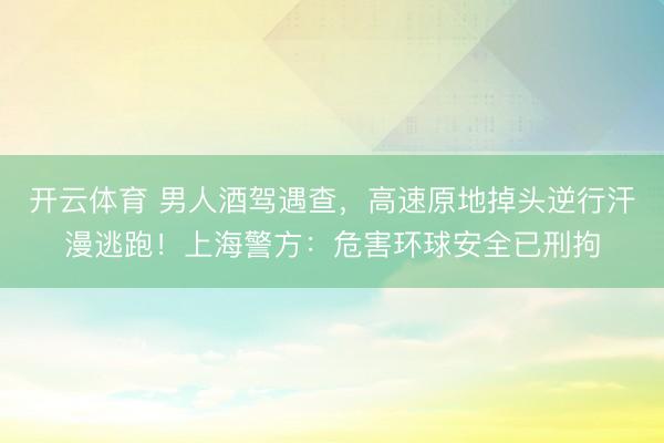 开云体育 男人酒驾遇查，高速原地掉头逆行汗漫逃跑！上海警方：危害环球安全已刑拘