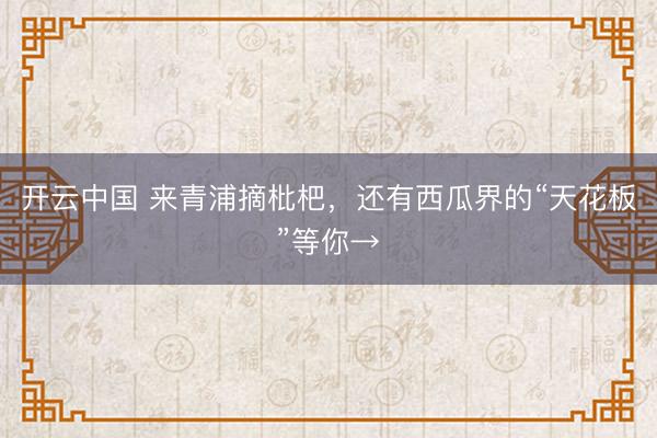 开云中国 来青浦摘枇杷,还有西瓜界的“天花板”等你→