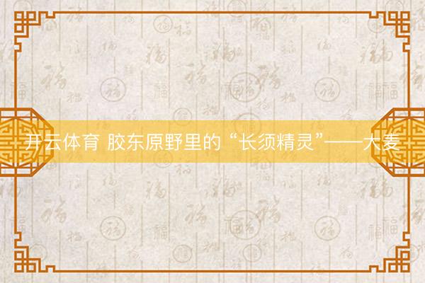 开云体育 胶东原野里的 “长须精灵”——大麦