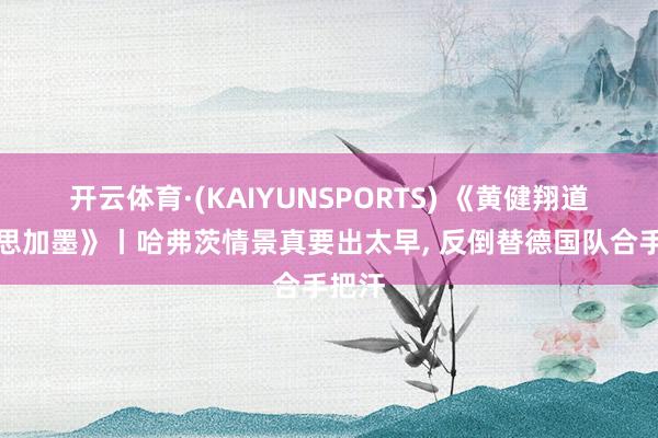 开云体育·(KAIYUNSPORTS) 《黄健翔道好意思加墨》丨哈弗茨情景真要出太早, 反倒替德国队合手把汗